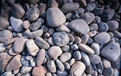 A close-up of a smooth, rounded stone.