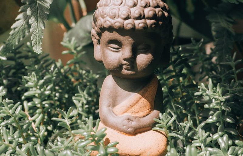 A serene landscape view, symbolizing clarity and peace of mind.